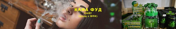 винт Бородино